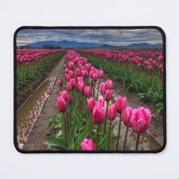 Item preview, Pink Impression designed and sold by Mark Kiver.