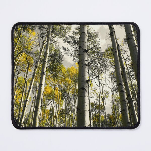 Item preview, Colorado Aspens in the Fall designed and sold by MaxBroxson.