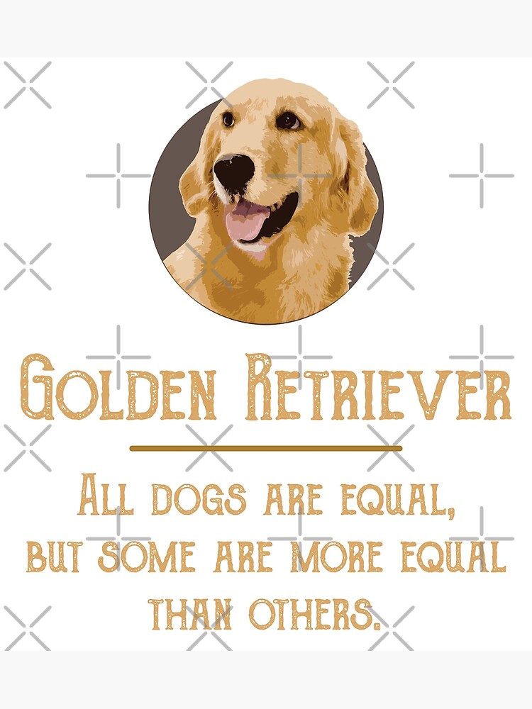 Golden Retriever All dogs are equal but Poster