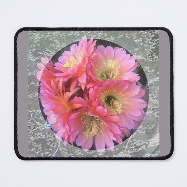 Item preview, Pink Cactus flowers with lace trim by Iritof designed and sold by iritof.