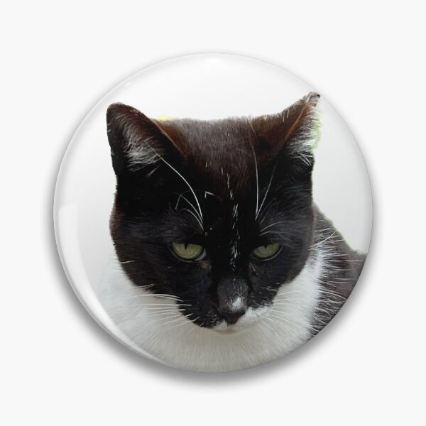 Item preview, Tiny Kitty designed and sold by rippeystcats.