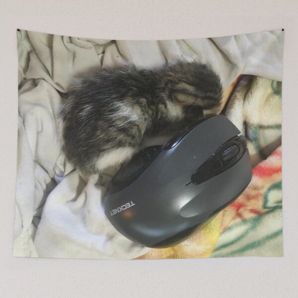 Item preview, kitten and mouse designed and sold by redqueenself.