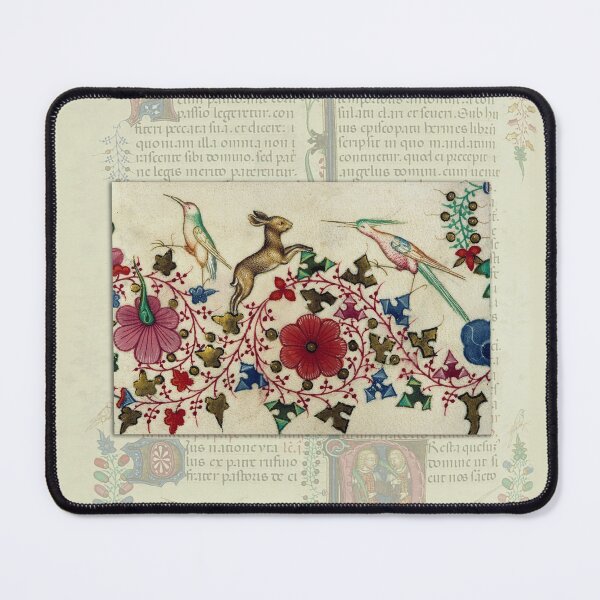 Item preview, Medieval Rabbit chasing a Bird designed and sold by ebrawne.