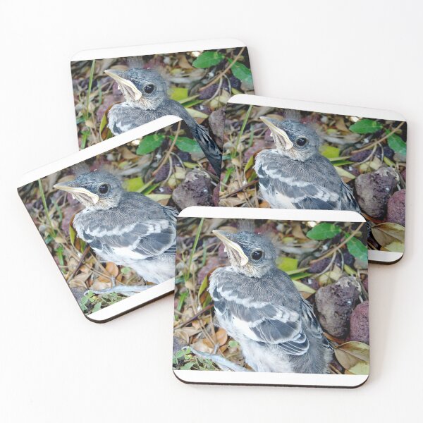 Item preview, Baby Robin in the Spring designed and sold by Paula Betz.