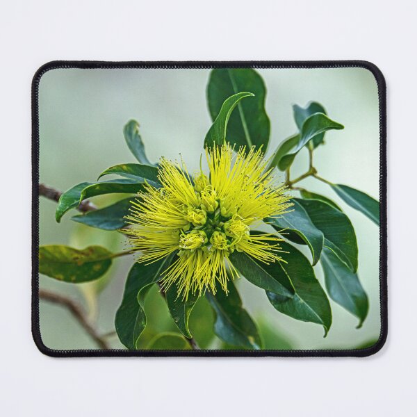 Item preview, Lehua Mamo designed and sold by Keola Makaiau.