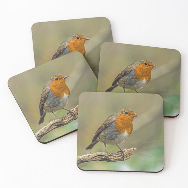 Item preview, Robin Redbreast on a branch against a blurred background designed and sold by Cameranick.