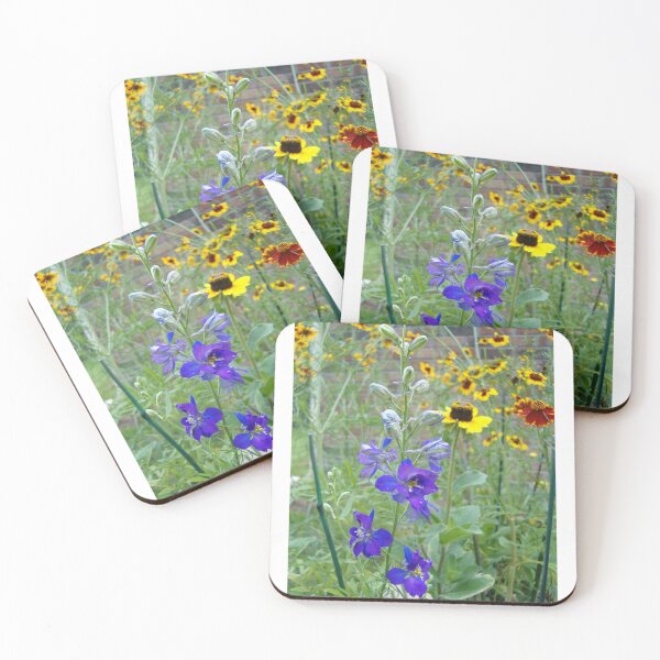 Item preview, Some flowers from our planted wildflower garden designed and sold by Paula Betz.