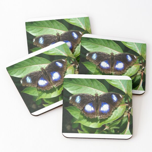 Item preview, The Great Egg Fly Butterfly designed and sold by Paula Betz.