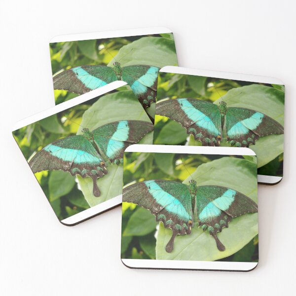 Item preview, Emerald Swallowtail Butterfly designed and sold by Paula Betz.