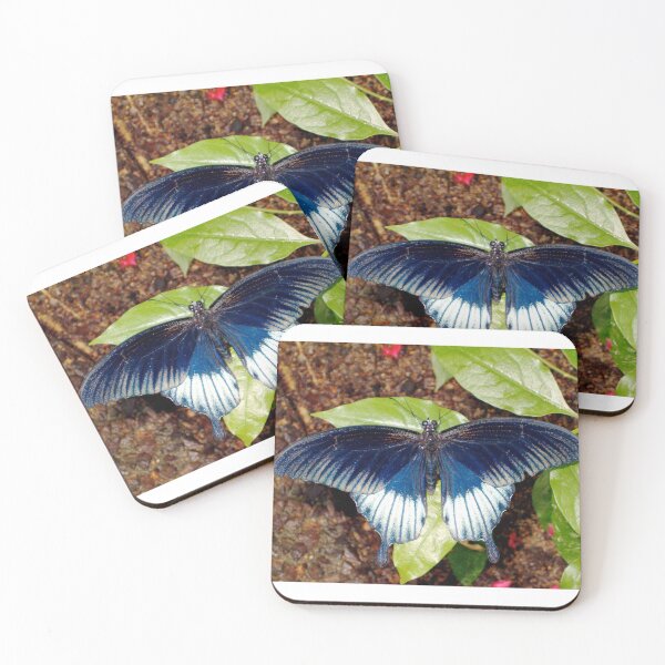 Item preview, Silvery black, white and blue butterfly designed and sold by Paula Betz.