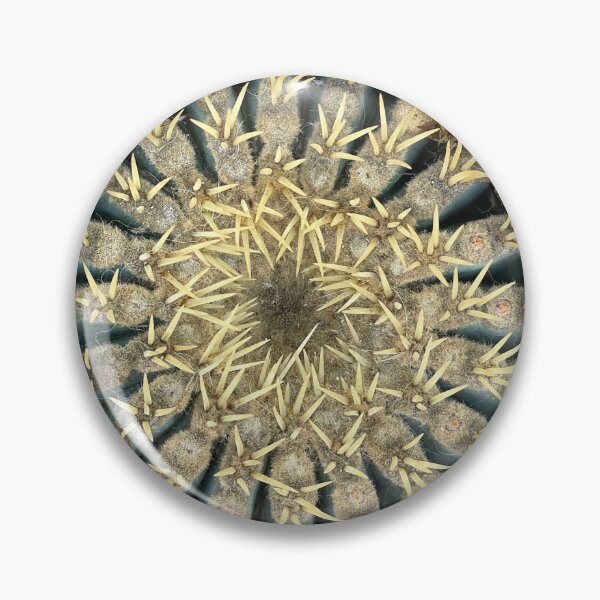 Item preview, Cactus 2 ©David M Ball designed and sold by davidmball.