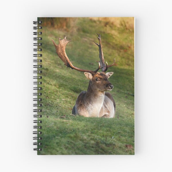 Item preview, Mr Majestic designed and sold by Dave Godden.