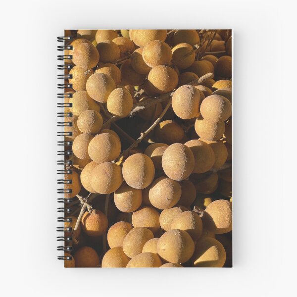 Item preview, Longan ©David M Ball designed and sold by davidmball.