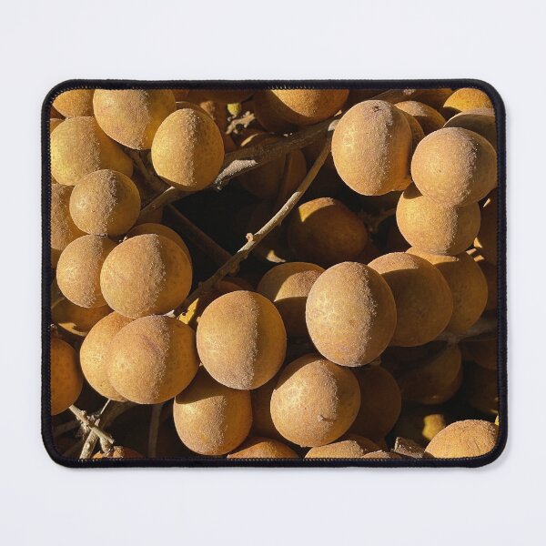 Item preview, Longan ©David M Ball designed and sold by davidmball.