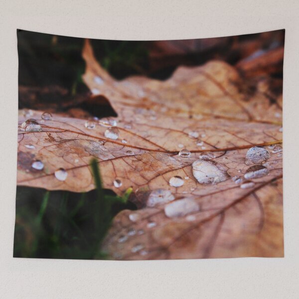 Item preview, Autumn Leaf After Rain designed and sold by Lydia Planalp.