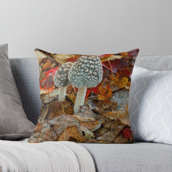 Item preview, Cuando noviembre llega 7 designed and sold by Rodney Williams.