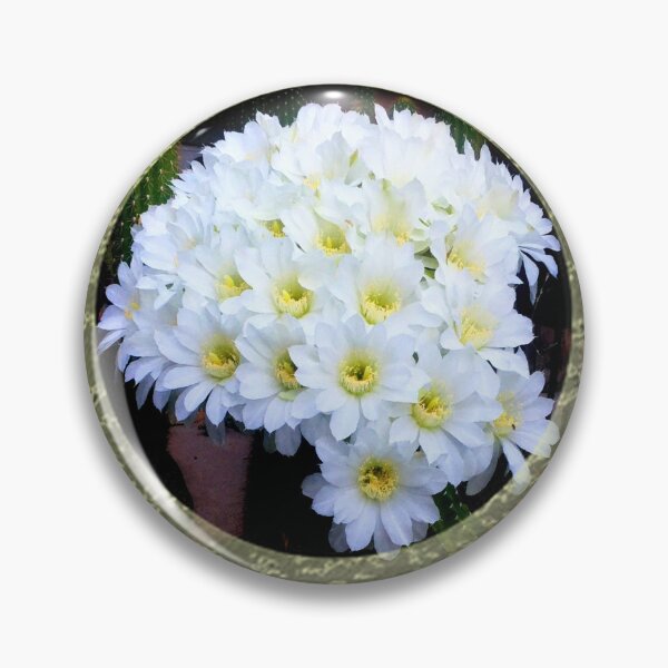 Artikelvorschau, Blumenstrauß aus weißen Kakteen mit Spitzenbesatz von Iritof entworfen und verkauft von iritof.