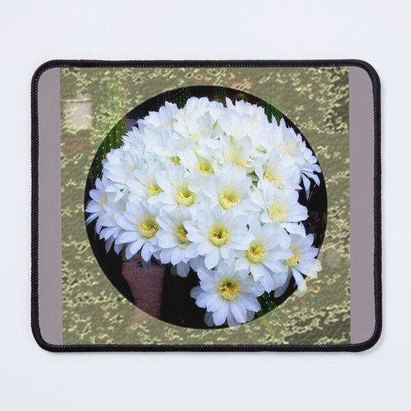 Item preview, White Cactus flowers bouquet with lace trim by Iritof designed and sold by iritof.