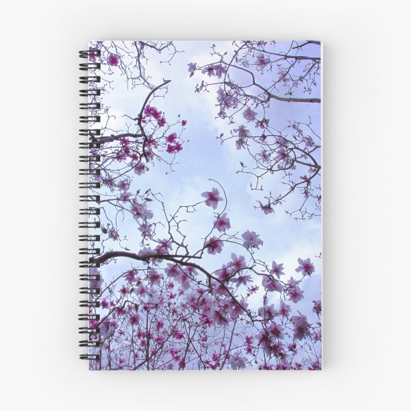 Item preview, Skyward designed and sold by Asoka.