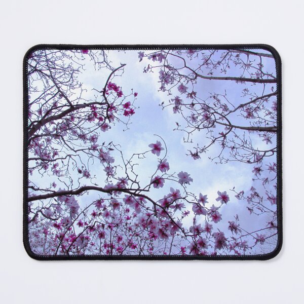 Item preview, Skyward designed and sold by Asoka.