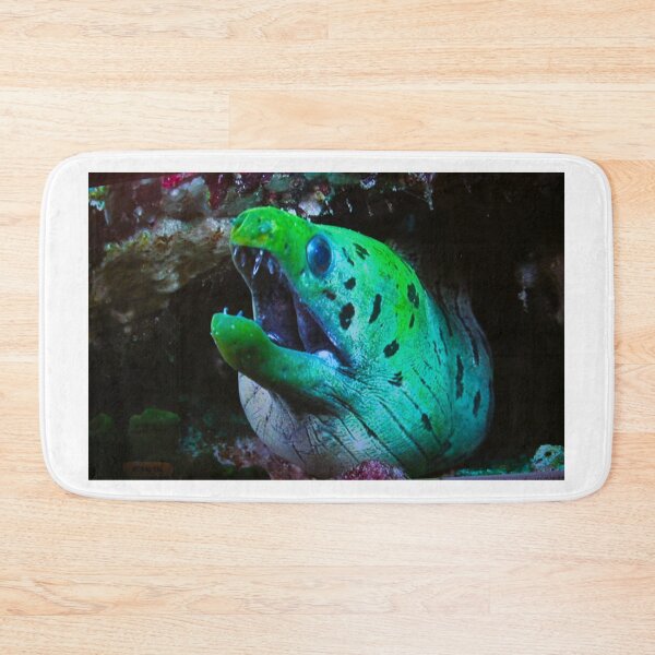 Item preview, Moray Eel designed and sold by Asoka.