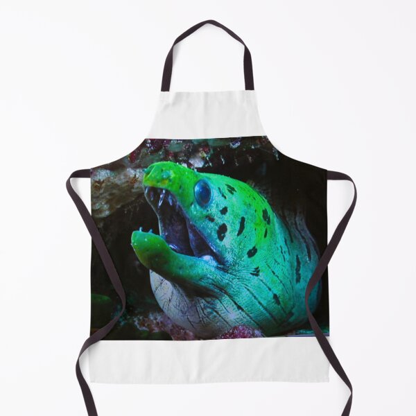 Item preview, Moray Eel designed and sold by Asoka.