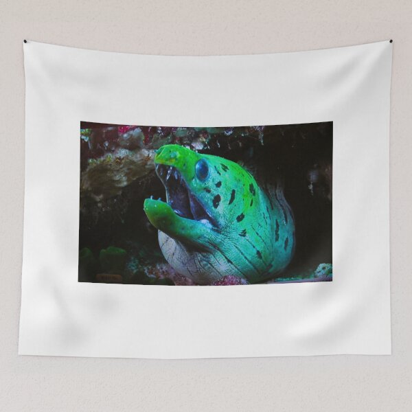 Item preview, Moray Eel designed and sold by Asoka.