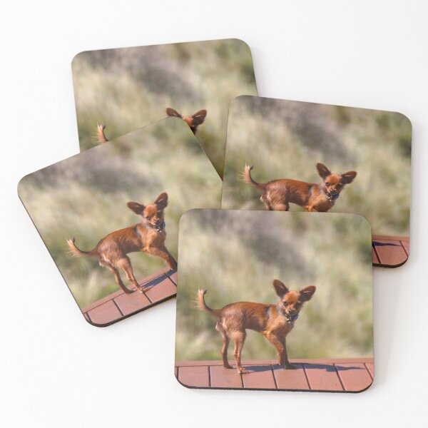 Item preview, Finnick, Posing designed and sold by Asoka.