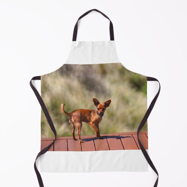 Item preview, Finnick, Posing designed and sold by Asoka.