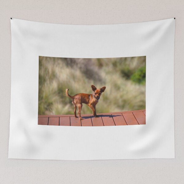 Item preview, Finnick, Posing designed and sold by Asoka.