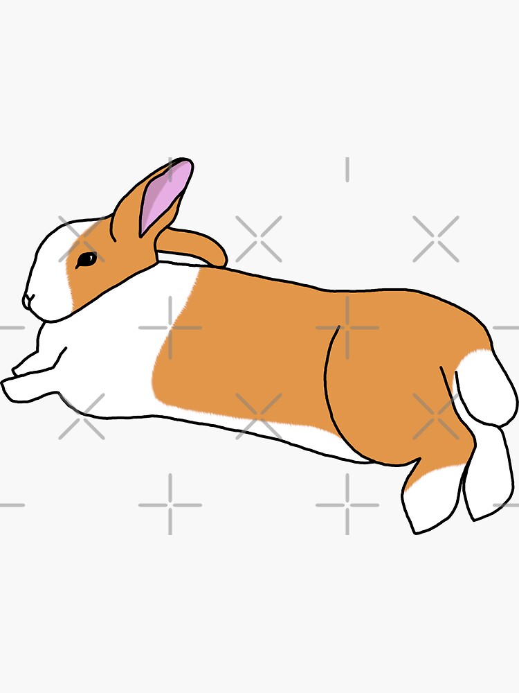 "Flopping orange bunny rabbit (coloured line drawing)" Sticker for Sale
