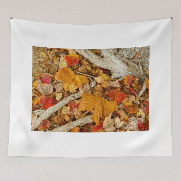 Item preview, When November Comes 8 designed and sold by Rodney Williams.