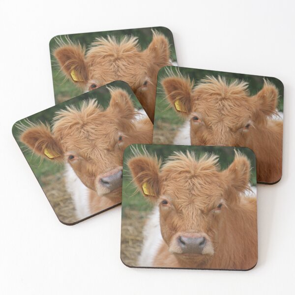Item preview, Galloway con cinturón designed and sold by RedHillDigital.