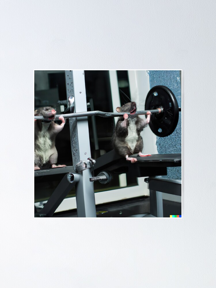 28 Gym Rats ideas  gym rat, muscle men, men
