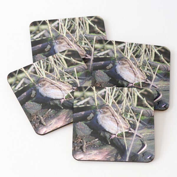 Item preview, acecho designed and sold by KathleenDawson.