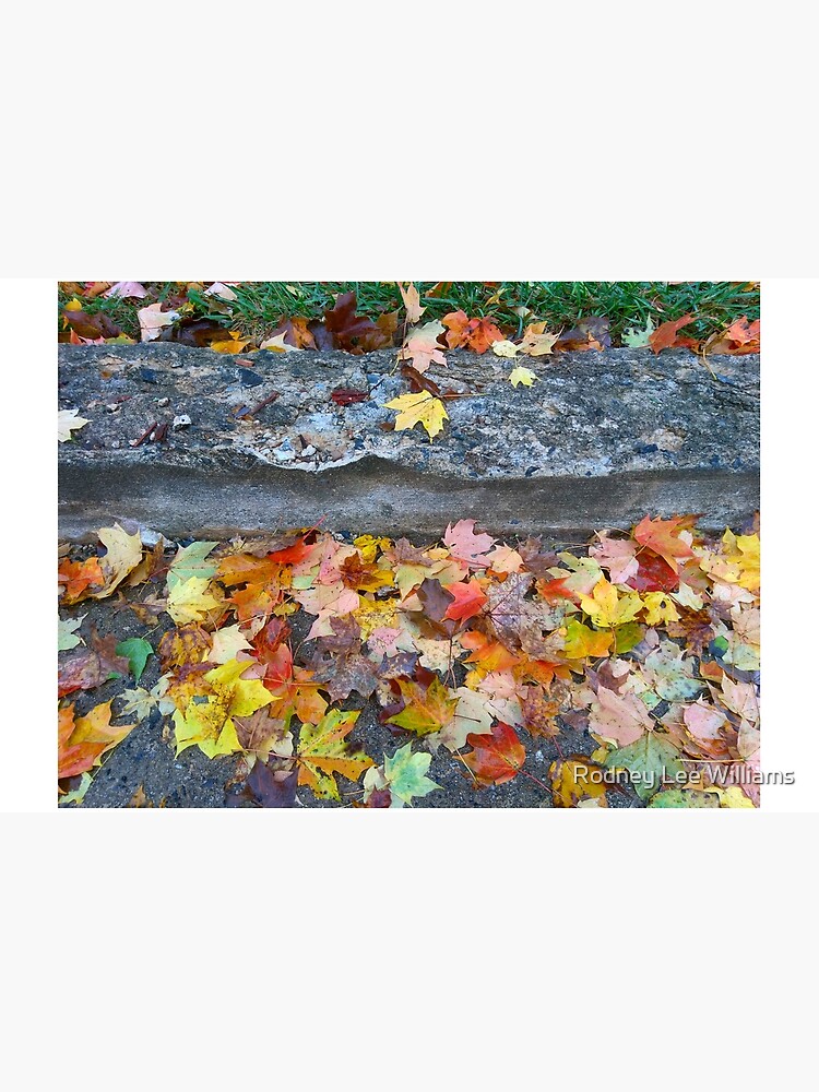 Rainy Autumn Morning by Rodwilliams