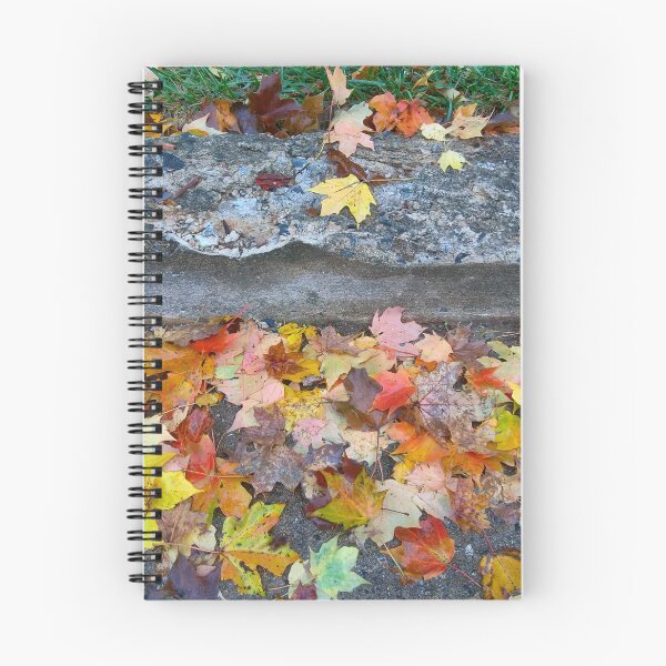Artikelvorschau, Regnerischer Herbstmorgen entworfen und verkauft von Rodney Williams.