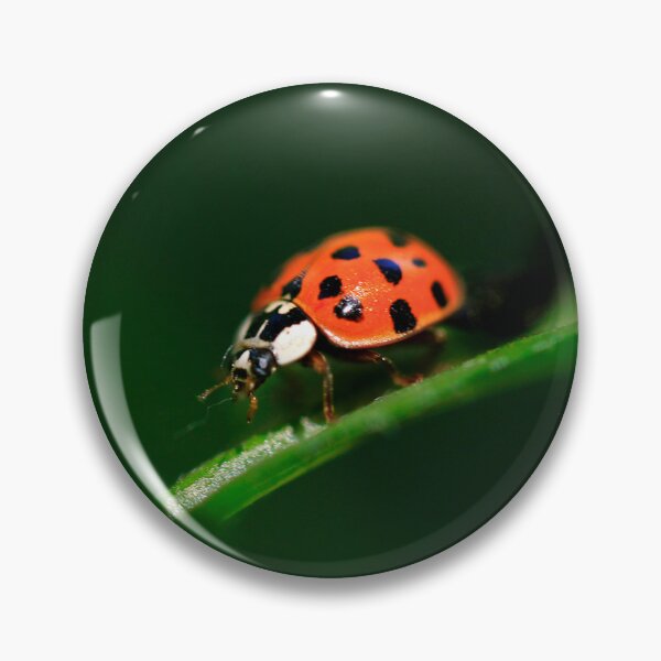 Item preview, Red ladybug sitting on grass designed and sold by olena2552.
