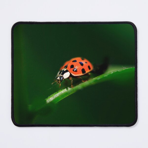 Item preview, Red ladybug sitting on grass designed and sold by olena2552.