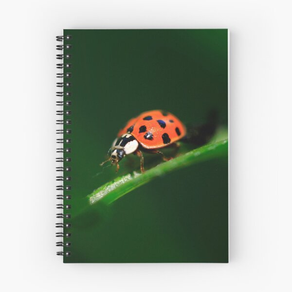 Item preview, Red ladybug sitting on grass designed and sold by olena2552.