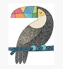 Tucan chilling Fotodruck