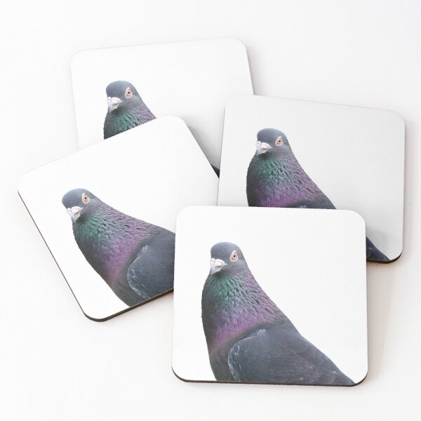 Item preview, Urban Beauty: Close-up Portrait of a Rock Dove designed and sold by hendrikspix.