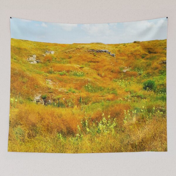 Item preview, Steppe on a summer day, natural background  designed and sold by helenkaiy.