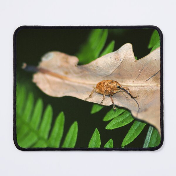 Item preview, Weevil designed and sold by iago rodriguez dopico.