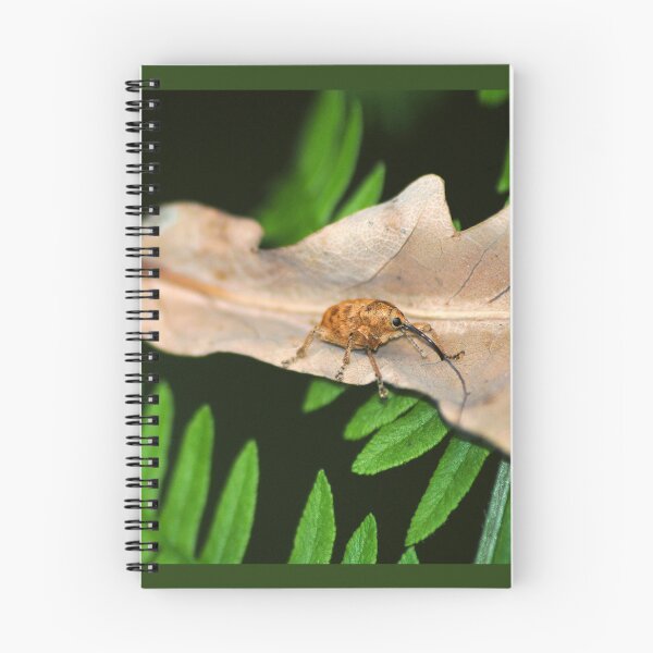 Item preview, Weevil designed and sold by iago rodriguez dopico.
