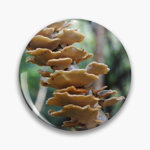 Item preview, Turkey Tail Mushrooms designed and sold by iago rodriguez dopico.