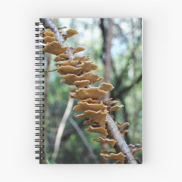 Item preview, Turkey Tail Mushrooms designed and sold by iago rodriguez dopico.