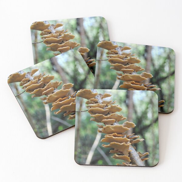 Item preview, Turkey Tail Mushrooms designed and sold by iago rodriguez dopico.