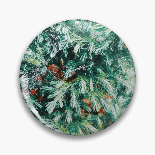 Item preview, Fir tree covered with drops of rain designed and sold by helenkaiy.