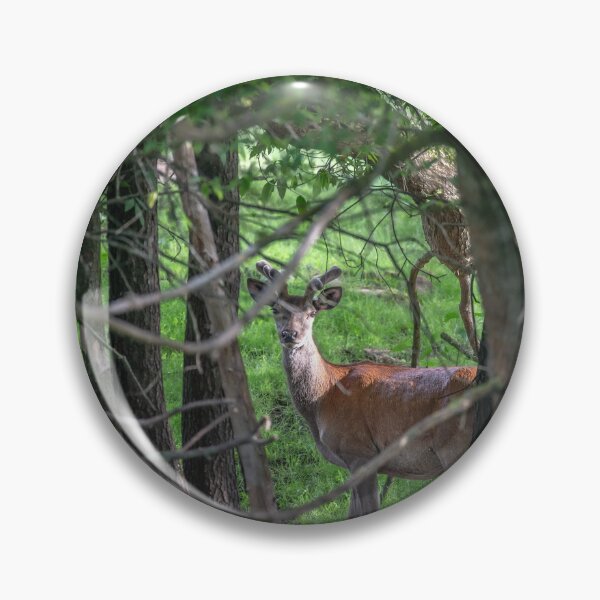 Item preview, A majestic red deer grazing in a meadow in summer designed and sold by AlbertMi.